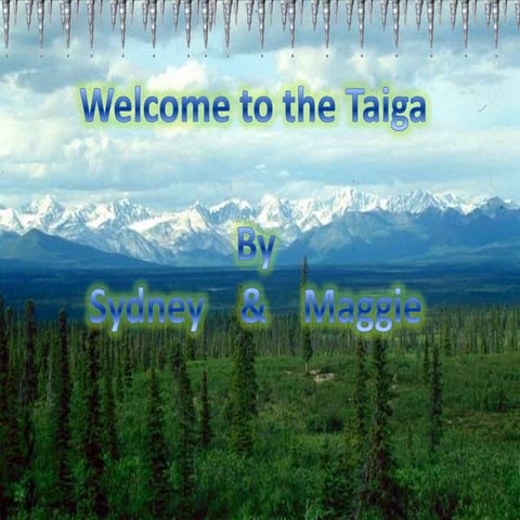 Maggie and Sydney | PPT