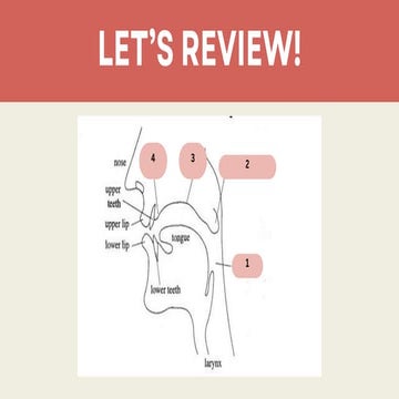 Syllables. in the phonetics and phonology