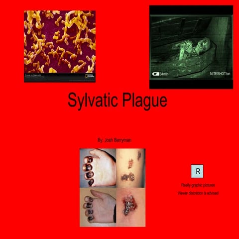 Sylvatic Plague PPT