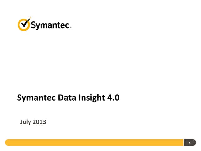 Symantec Data Insight 4.0 July 2013