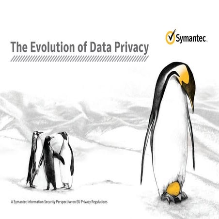 The Evolution of Data Privacy - A Symantec Information Security Perspective o...