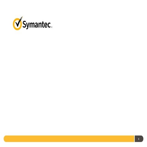 Symantec's Strategic Direction and Q3 2013 Earnings Presentation