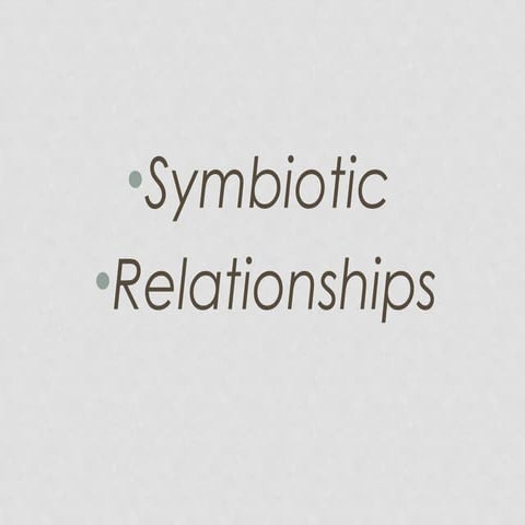Symbiosis12