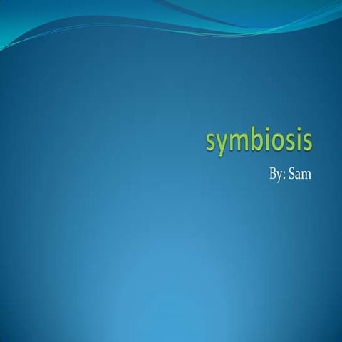 Symbiosis sam