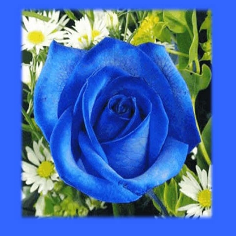 Symbolism in 20th Century theatre