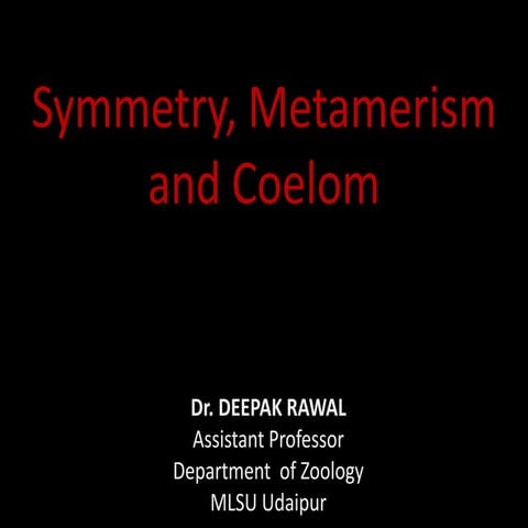 Symmetry coelom and metamerism