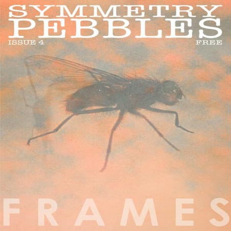 Symmetry pebbles issue 4