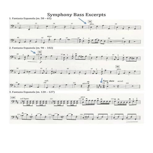 Symphony bass