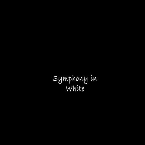 Symphony in white