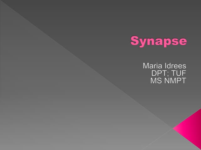 Synapses | PPTX