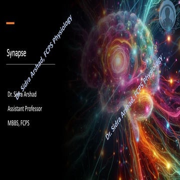 The Physiology of Central Nervous System - Synapse