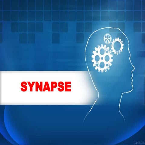 The synapse | PPTX