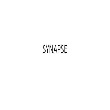 Comprehensive Overview of Synapse: Types, Functions, and Properties in ...