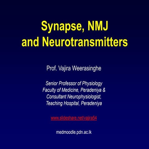 Synapse nmj y1 s1 2020 slides