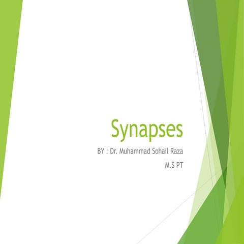 Synapses