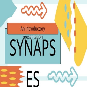 INTRODUCTION OF SYNAPSE ANATOMICAL TYPES OF SYNAPSE | PDF
