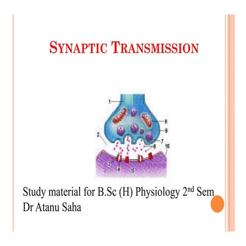 Synaptic integration, Types of synapses, EPSP and IPSP | PPTX