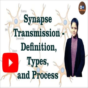 Synaptic transmission types I Steps of chemical neurotransmission I Nervous S...