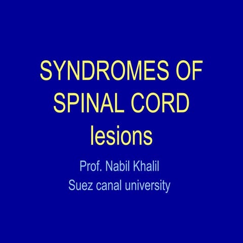 Clinical Syndromes of spinal cord lesions
