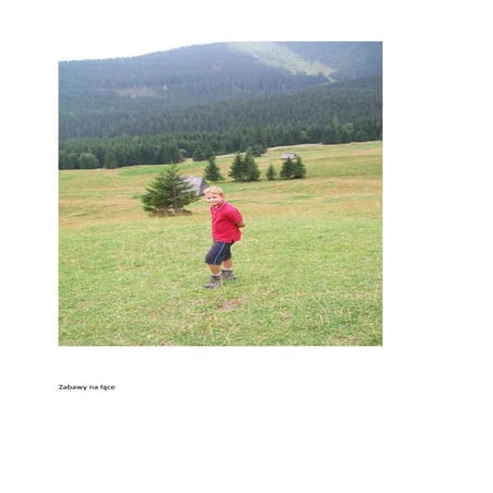 Thomas P Clune Vocabulary Sheet | PDF