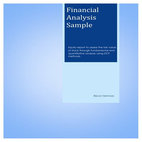 Synergetics financial analysis report | PDF