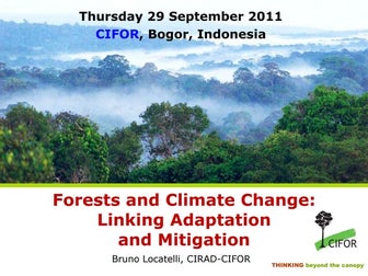 Forests and Climate Change: Linking Adaptation and Mitigation