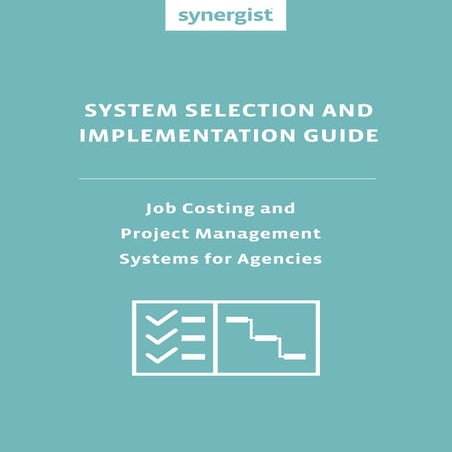 Synergist System Selection & Implementation Guide