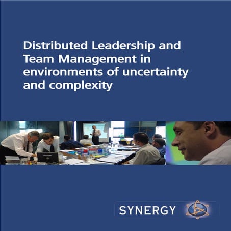 Synergy distributed Leadership Brochure