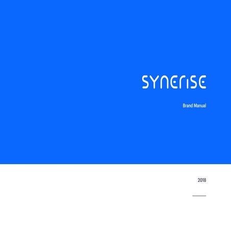 Synerise Brand Manual [English] | PPT
