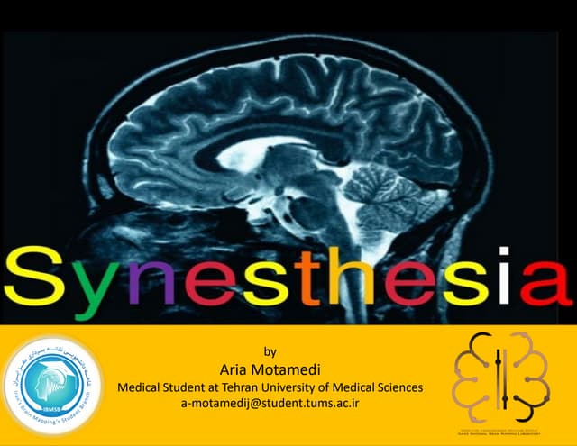 Neural Mechanism of Synesthesia | PPT