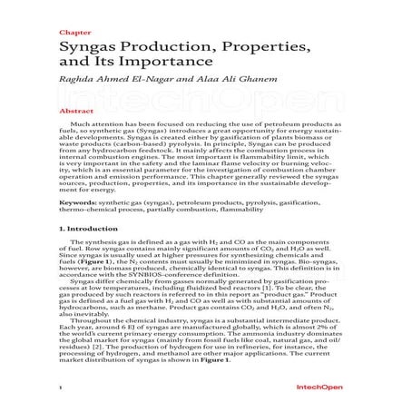 Syngas.pdf