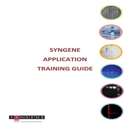 A Beginner’s Guide to the Principles and Applications of FRET | PDF