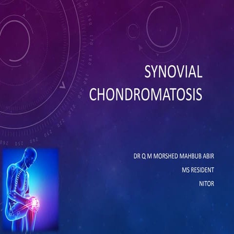Anatomical Landmarks of the Knee | PPTX