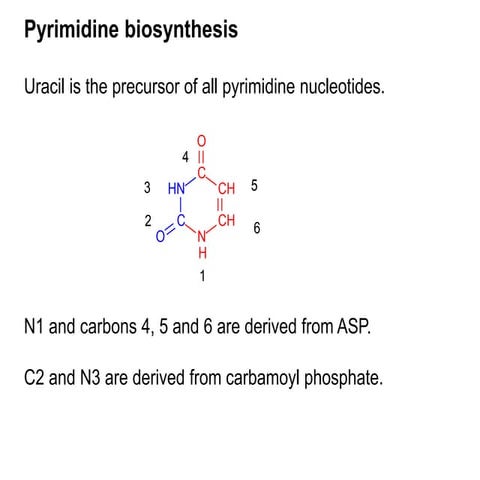 Synthesis of pyramidine.ppt