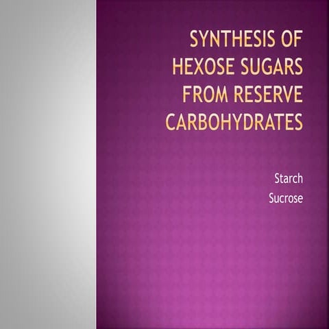 Synthesis of Sucrose and Starch synthesis 
