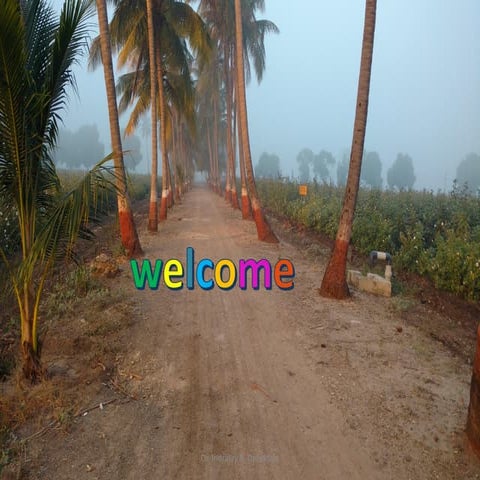 Synthetic-Composite Varieties & Hardw-w. law.pdf