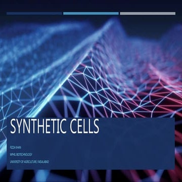 Synthetic cells