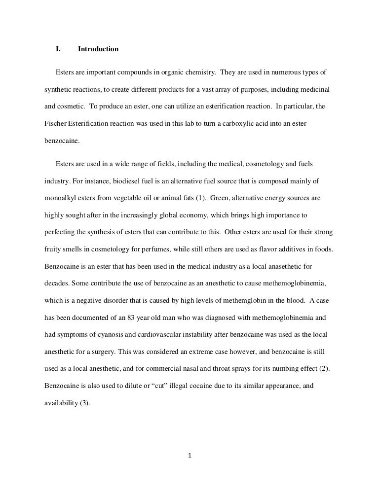 essay zoo animals jungle