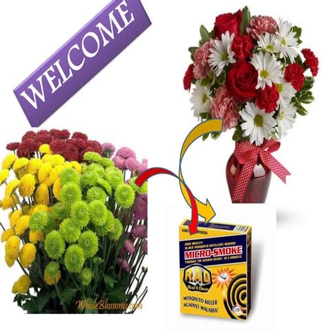 SYNTHETIC PYRETHROIDS SSNAIK