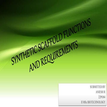 Synthetic Scaffold functions and Requirements.pptx