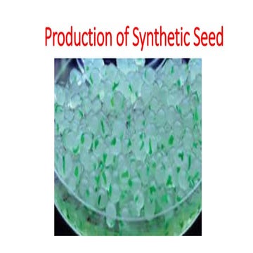 SYNTHETIC SEED.pptx