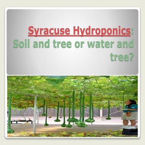 Syracuse hydroponics 2