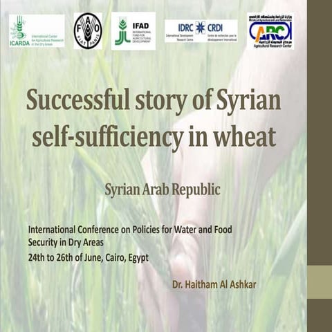Syria: Success story of whate self-sufficiency 