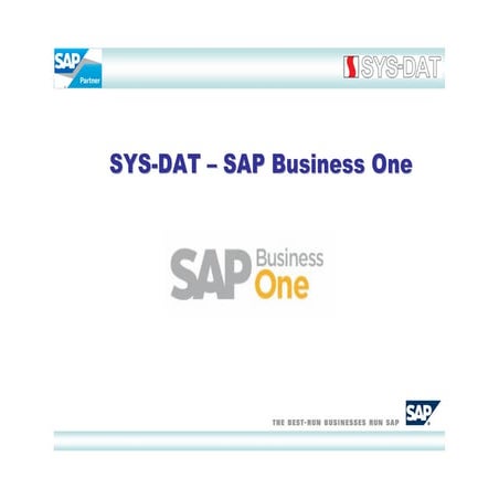 SYS-DAT for SAP Business One