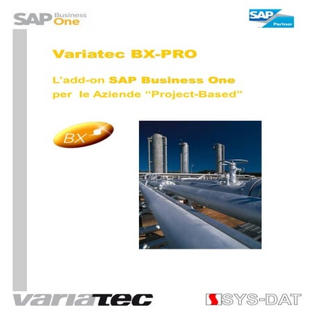 SYS-DAT Bx Pro 8.8x for SAP Business One
