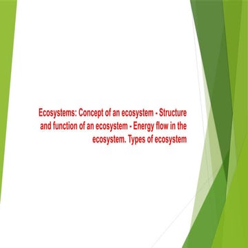 Comprehensive Overview of Ecosystems: Definition, Structure, and ...