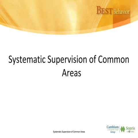 Systematic supervision  (2)