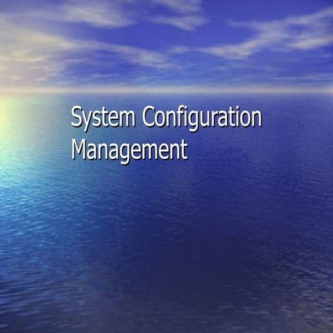 Software Configuration Management