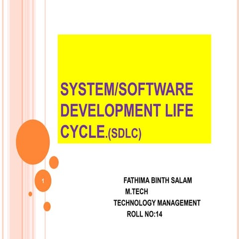 System development life cycle