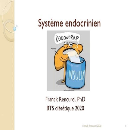 BTS diététique Systeme endocrinien